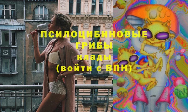 дживик Беломорск